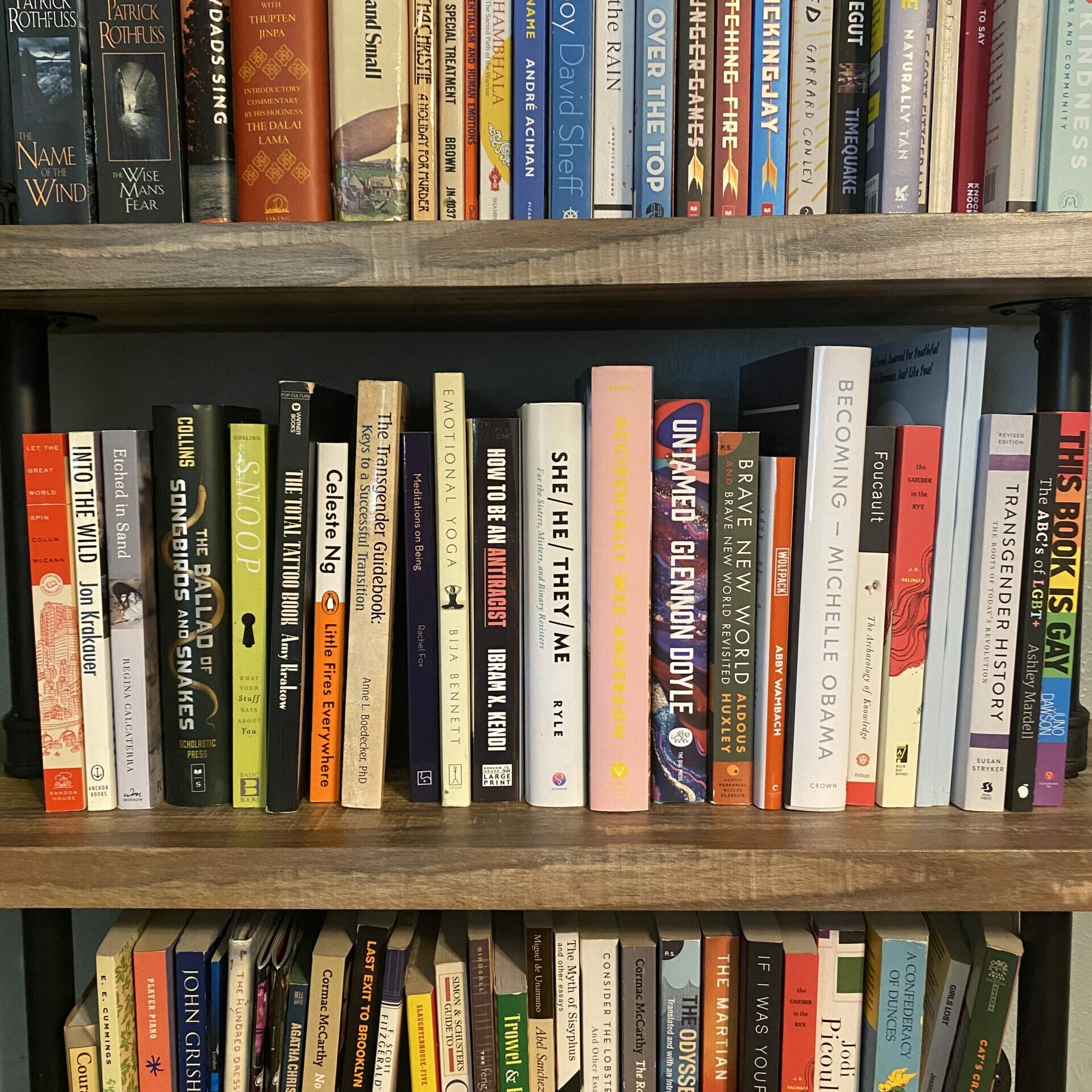 bookshelf filled with books